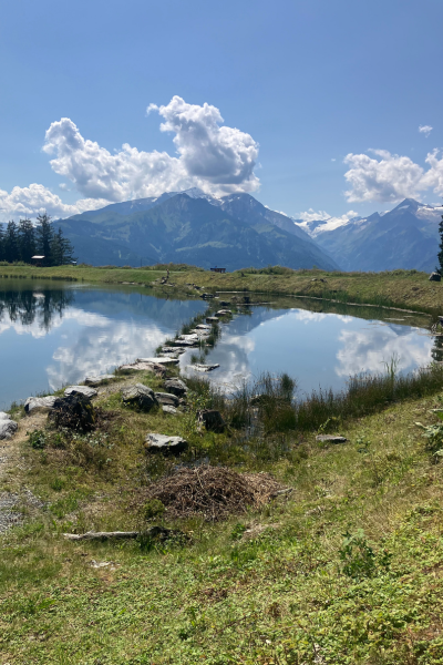 Design ohne Titel (33)