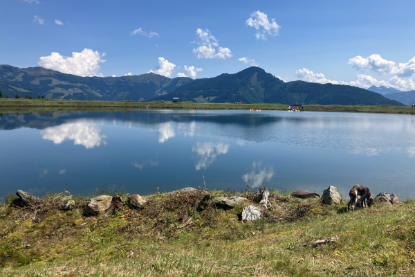 Design ohne Titel (35)